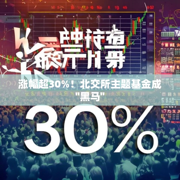涨幅超30%！北交所主题基金成