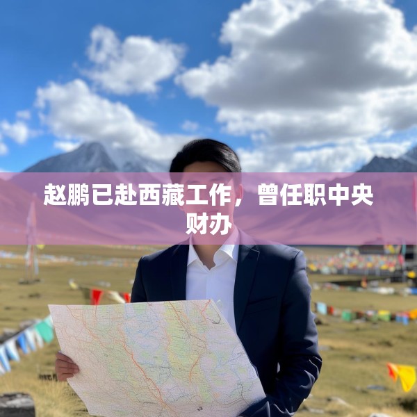 赵鹏已赴西藏工作，曾任职中央财办