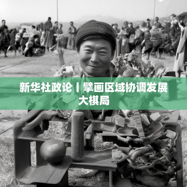 新华社政论丨擘画区域协调发展大棋局