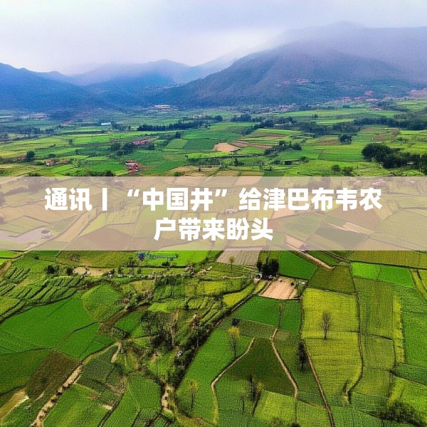 通讯丨“中国井”给津巴布韦农户带来盼头