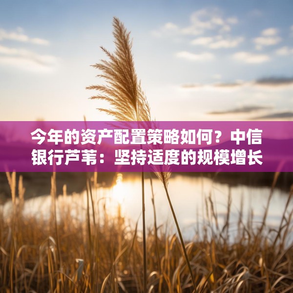 今年的资产配置策略如何？中信银行芦苇：坚持适度的规模增长，重在优化结构