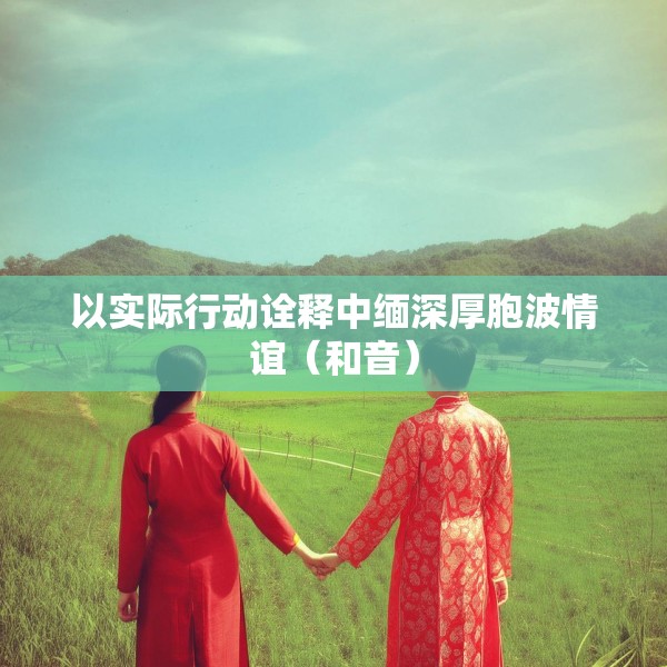 以实际行动诠释中缅深厚胞波情谊（和音）