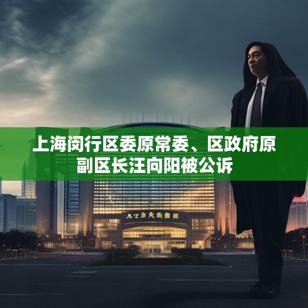 上海闵行区委原常委、区政府原副区长汪向阳被公诉
