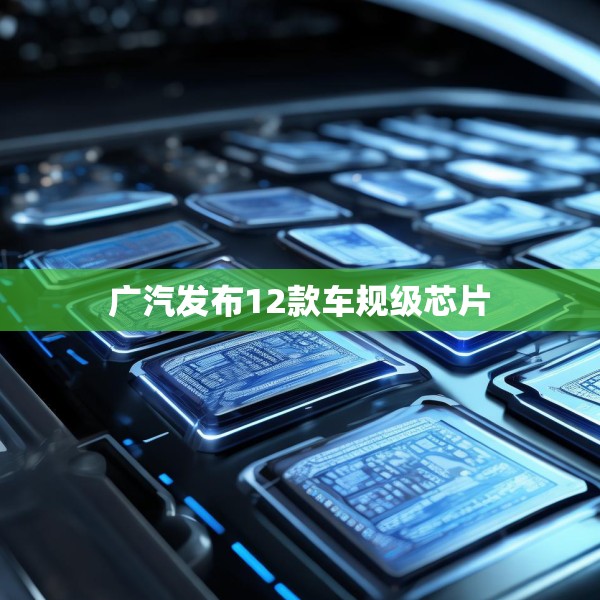 广汽发布12款车规级芯片