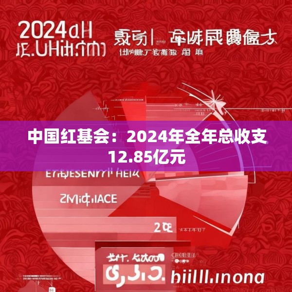 中国红基会：2024年全年总收支12.85亿元