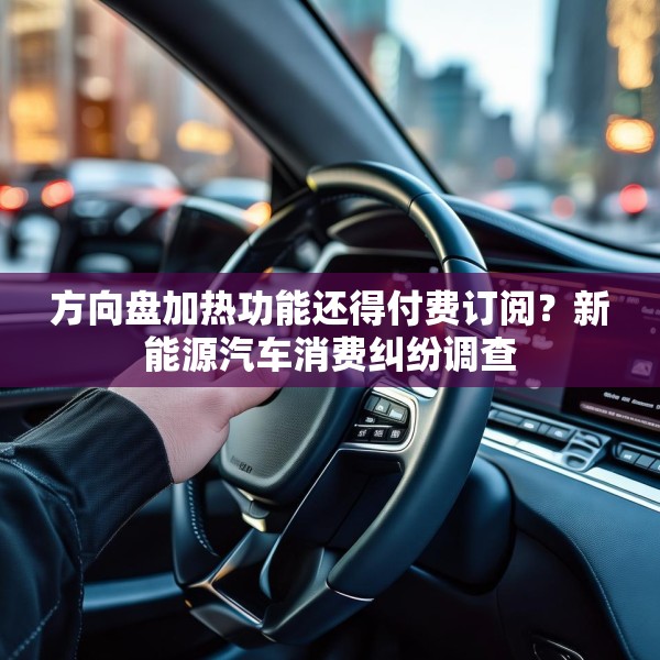 方向盘加热功能还得付费订阅？新能源汽车消费纠纷调查