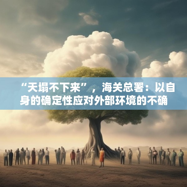 “天塌不下来”，海关总署：以自身的确定性应对外部环境的不确定性