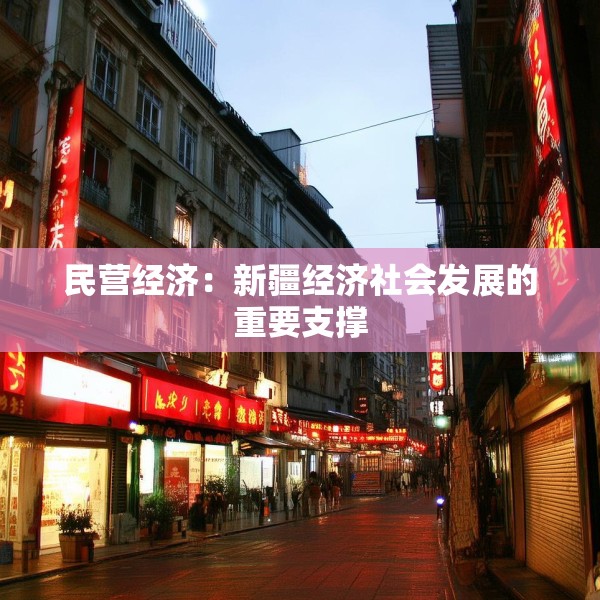 民营经济：新疆经济社会发展的重要支撑