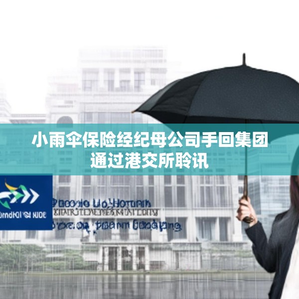 小雨伞保险经纪母公司手回集团通过港交所聆讯