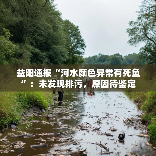 益阳通报“河水颜色异常有死鱼”：未发现排污，原因待鉴定