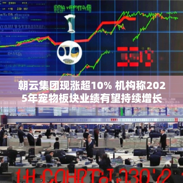 朝云集团现涨超10% 机构称2025年宠物板块业绩有望持续增长