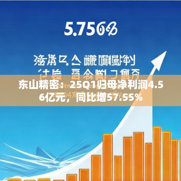 东山精密：25Q1归母净利润4.56亿元，同比增57.55%
