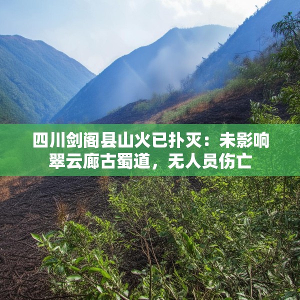四川剑阁县山火已扑灭：未影响翠云廊古蜀道，无人员伤亡