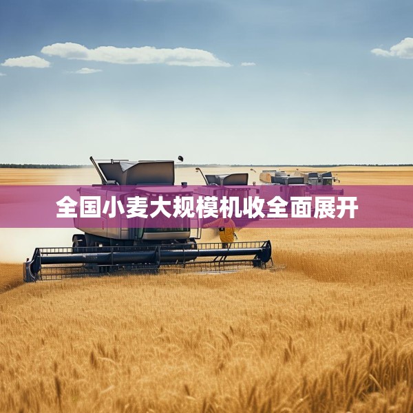 全国小麦大规模机收全面展开