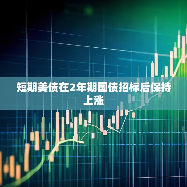 短期美债在2年期国债招标后保持上涨