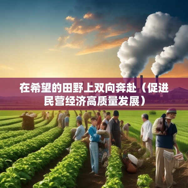 在希望的田野上双向奔赴（促进民营经济高质量发展）