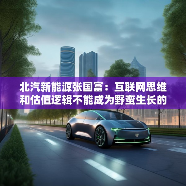 北汽新能源张国富：互联网思维和估值逻辑不能成为野蛮生长的理由