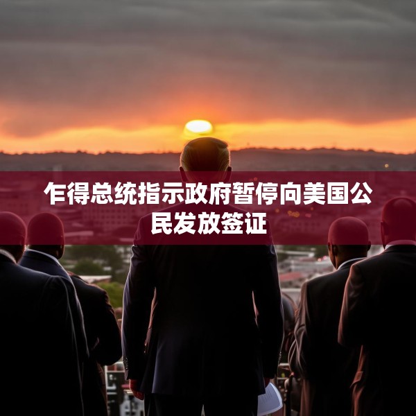 乍得总统指示政府暂停向美国公民发放签证