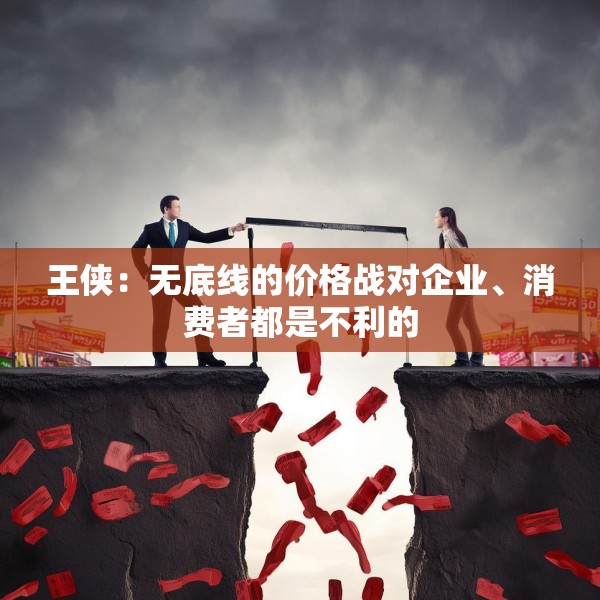 王侠：无底线的价格战对企业、消费者都是不利的