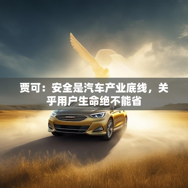 贾可：安全是汽车产业底线，关乎用户生命绝不能省