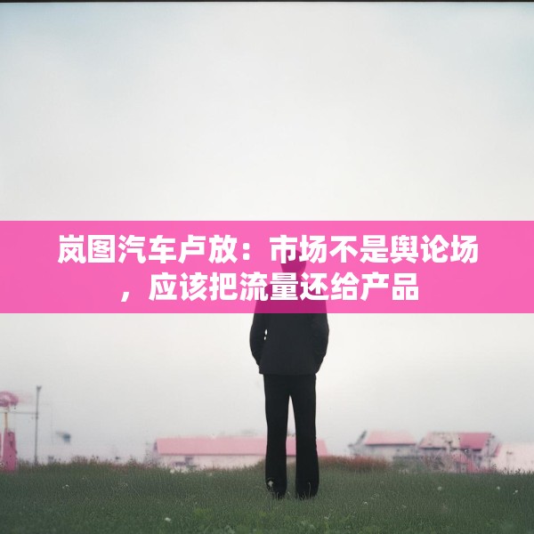岚图汽车卢放：市场不是舆论场，应该把流量还给产品