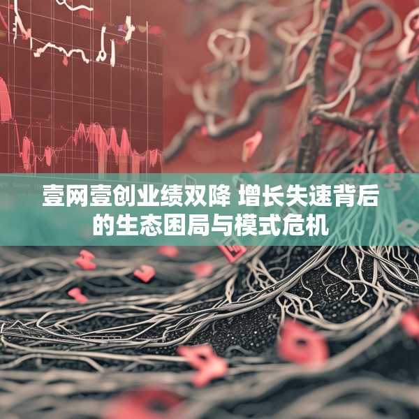 壹网壹创业绩双降 增长失速背后的生态困局与模式危机