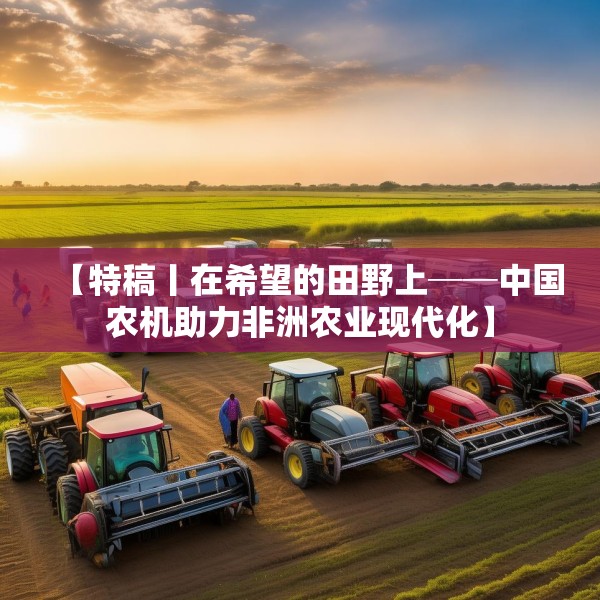 【特稿丨在希望的田野上──中国农机助力非洲农业现代化】
