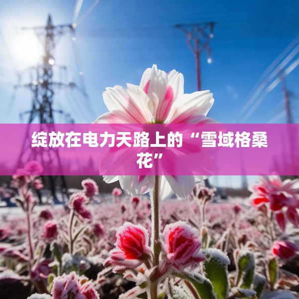 绽放在电力天路上的“雪域格桑花”